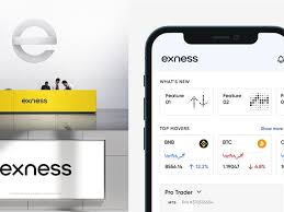 Exploring the Exness Trading Platform A Comprehensive Guide