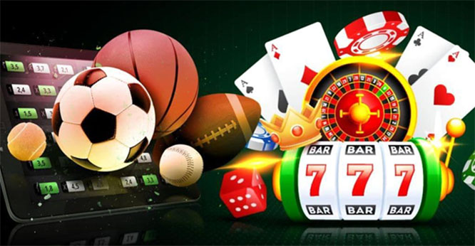 Live Streams for Sports Bets